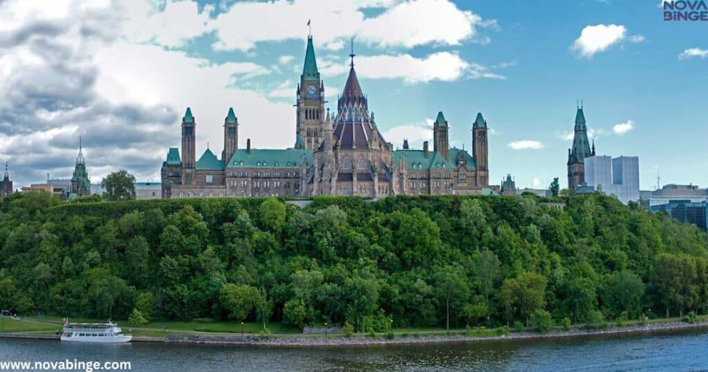 Everything Puppies makes excellent use of Ottawa's green spaces: